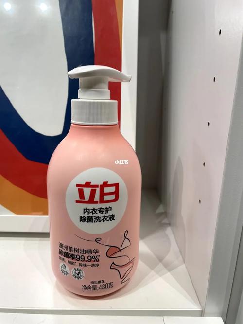 潮乎乎的日子，也能过出软味道