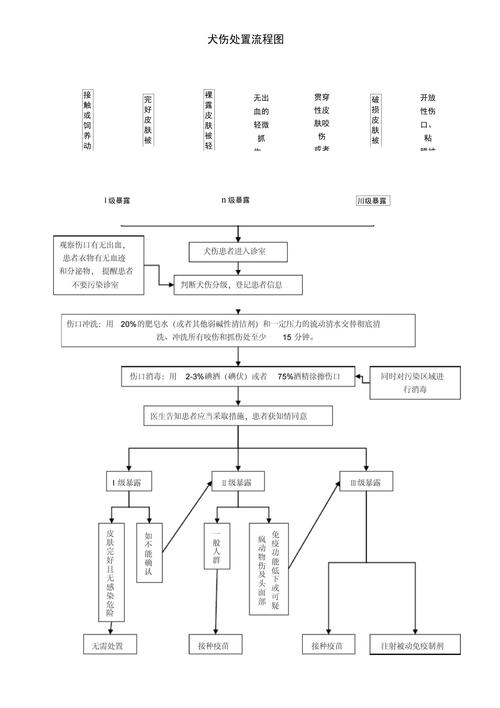 宠物咬伤后物业应急处置流程与证据保全清单图解