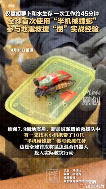 当机器人学会蟑螂的“挤缝神功”，灾难救援有救了？