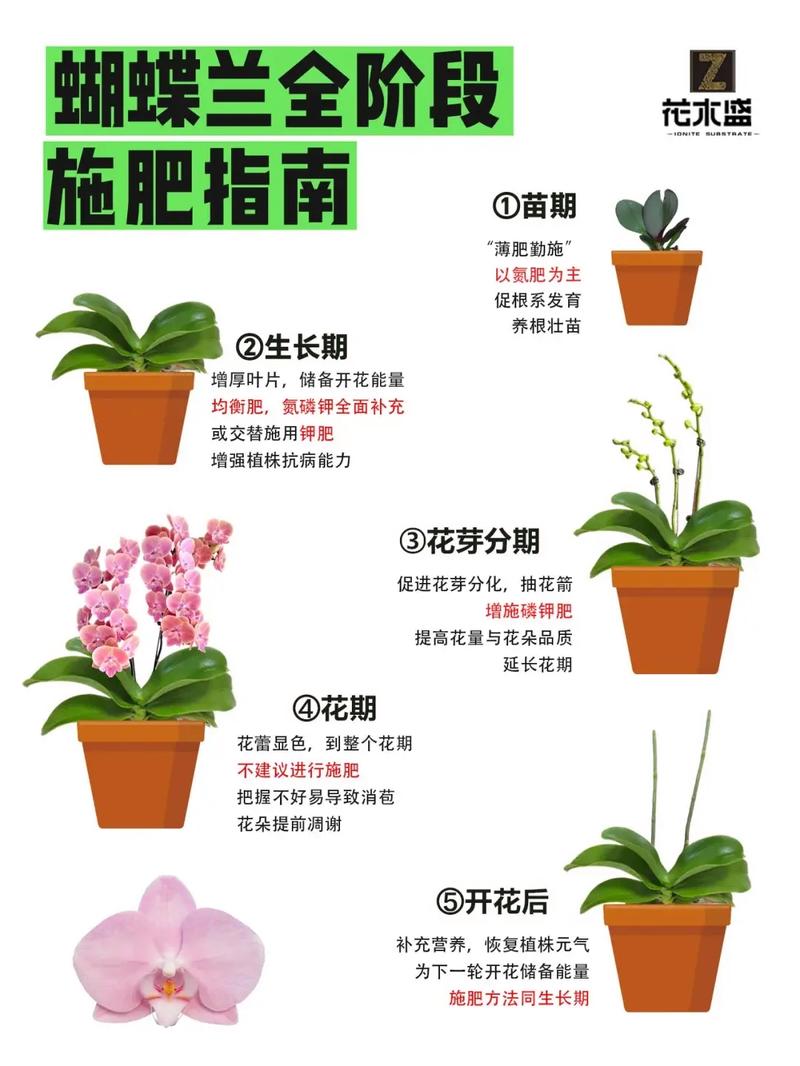 家庭盆栽花期追施磷钾肥方法