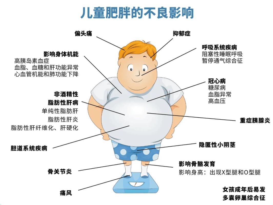 儿童超重肥胖健康风险图表
