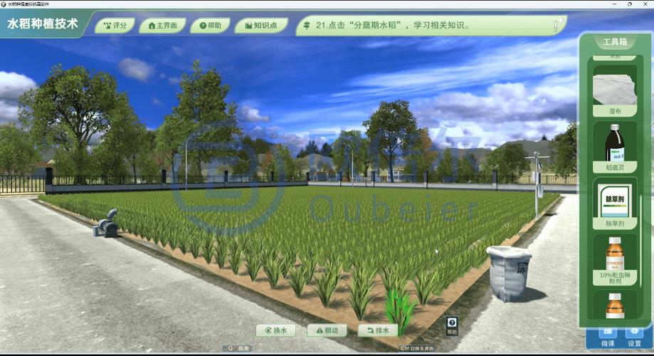 水稻杂交育种虚拟仿真教学操作界面