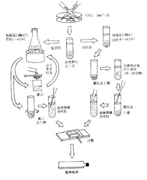 生物反应器细胞培养过程控制界面图