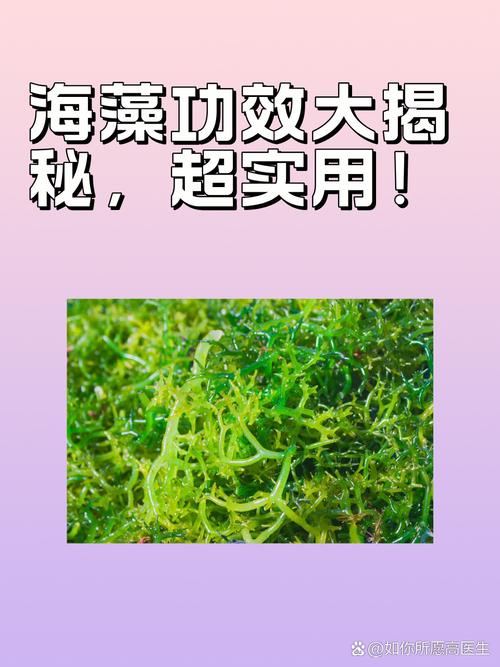 吃海藻能长生不老?我试了一周