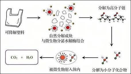 分解PET塑料的工程菌实验图