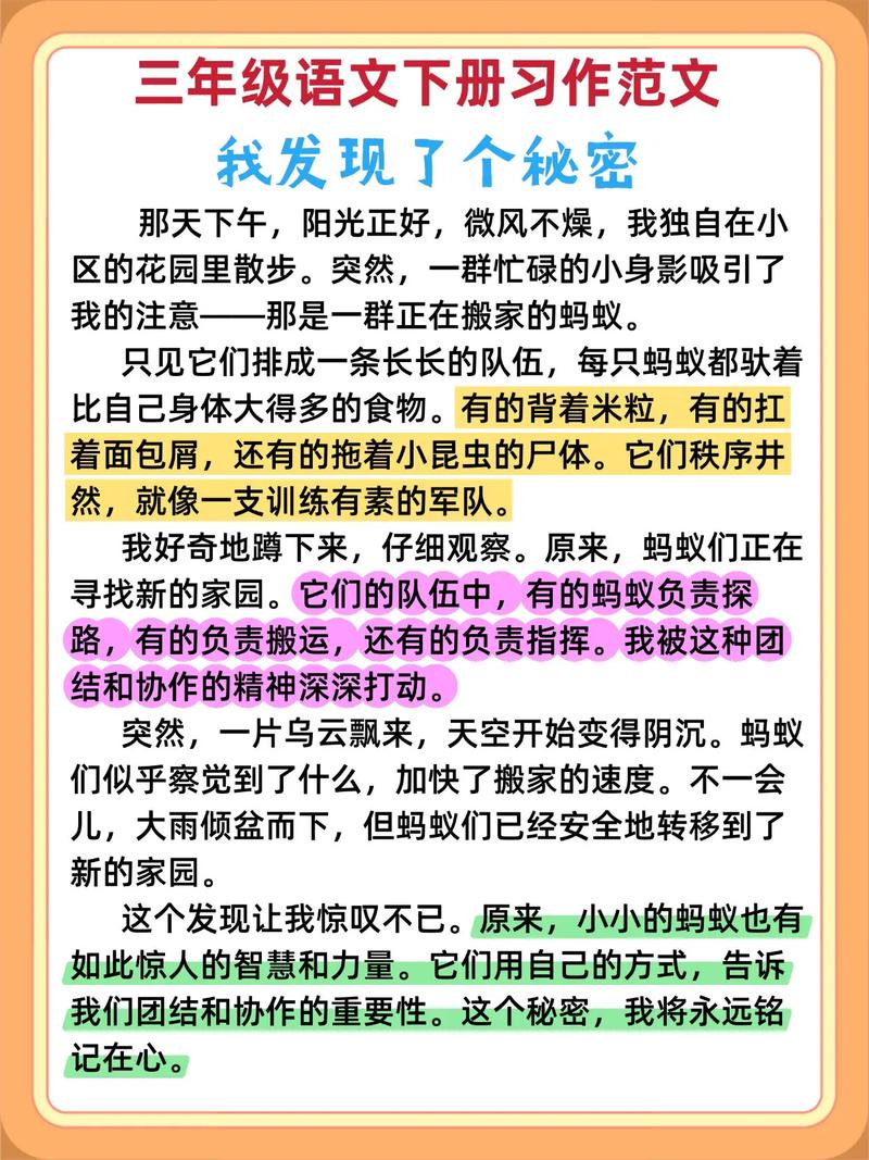 三、实地考察,我看见了什么?