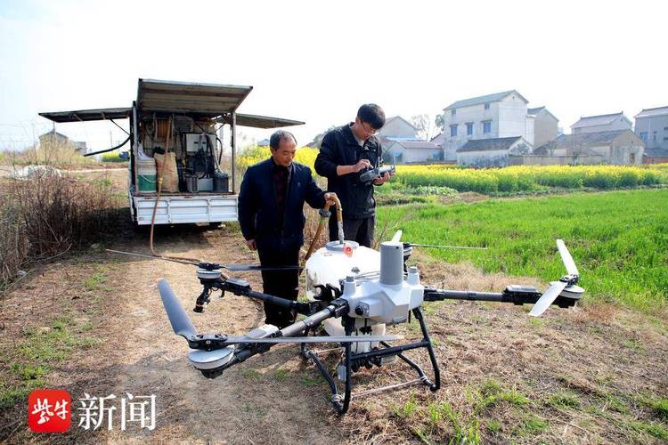 南京郊区橘园植保无人机作业现场