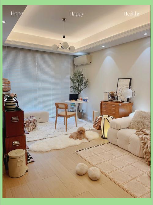 家庭客厅宠物玩具丰容分区实拍