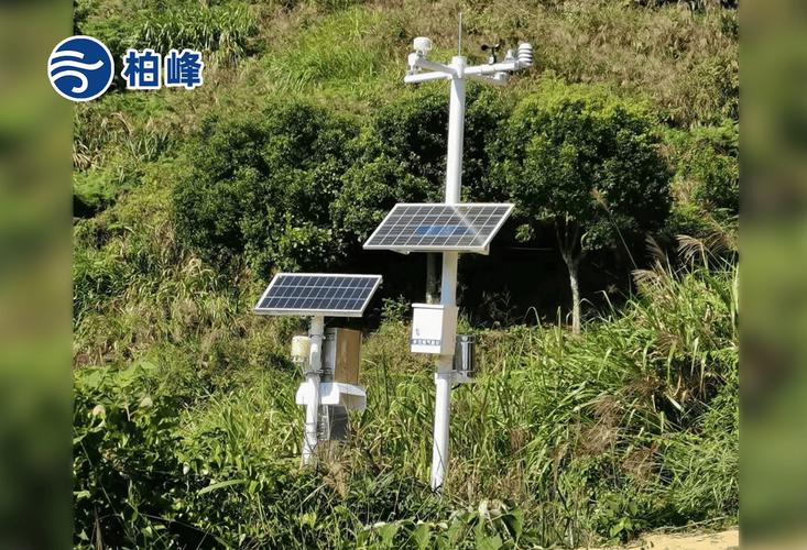 山林防火分布式预警传感器部署实景图
