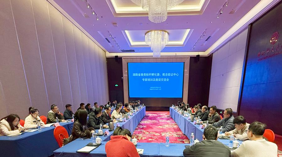 孵化器管理团队评审科研成果概念验证项目现场
