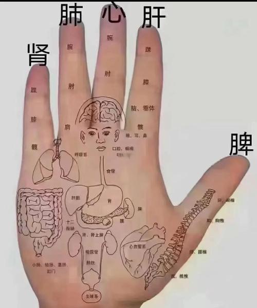 泌尿科医生与男孩谈论遗精手诊检查示意图