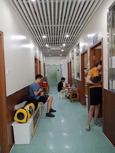 宠物医院急诊缴费窗口排队的养宠人
