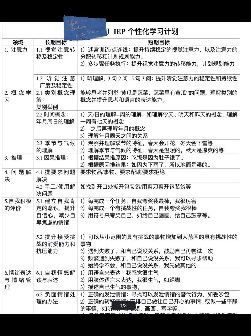 特殊教育IEP计划文档空谈场景