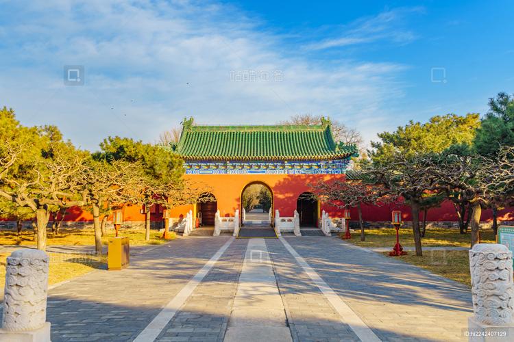 北京天坛公园斋宫古梧桐夏日庭院场景