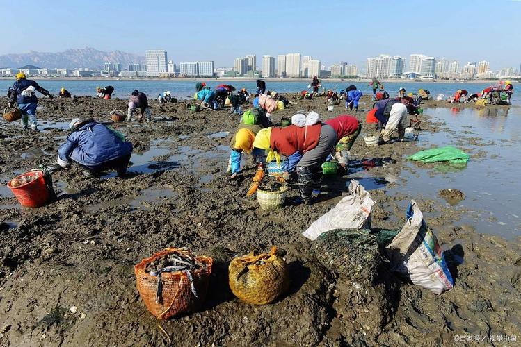 赶海人群在退潮后礁石间寻找海货实拍图
