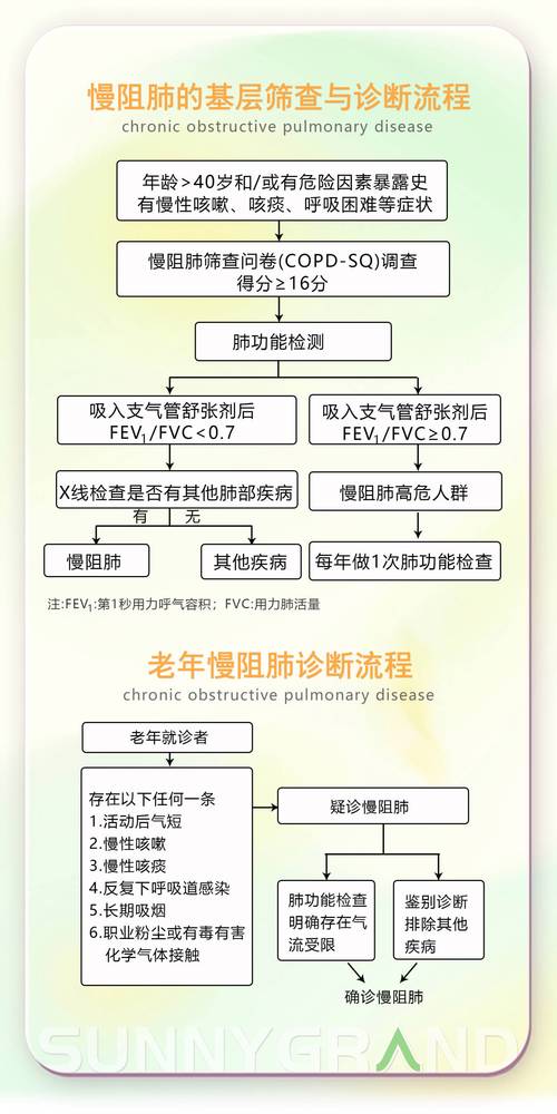 社区老年慢病大数据筛查流程图