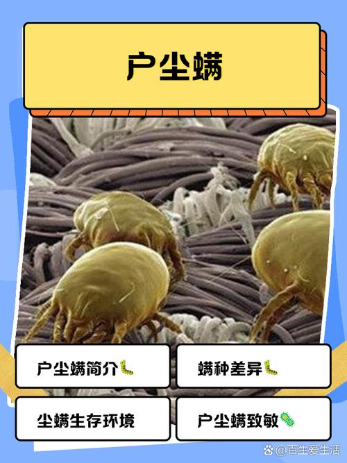 家用纺织品表面尘螨显微镜实拍图