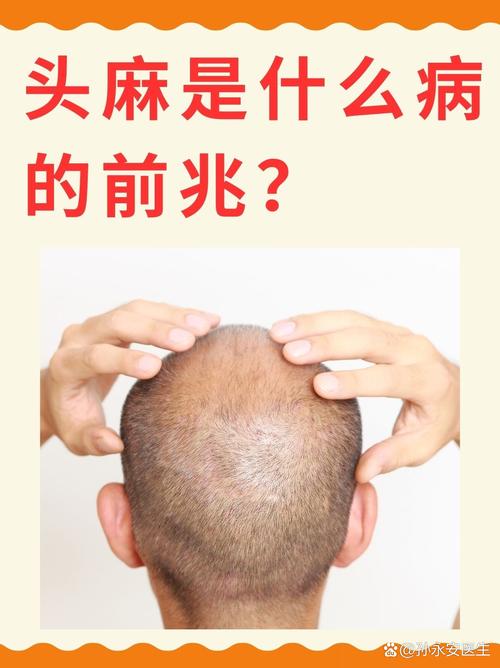 最让我头皮发麻的一个新方向