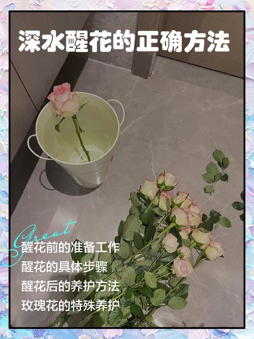 鲜花醒花桶深水养护过程图