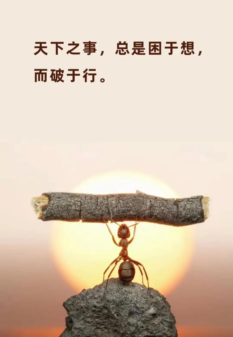 别等“准备好了”再动手，能力都是在事上磨出来的
