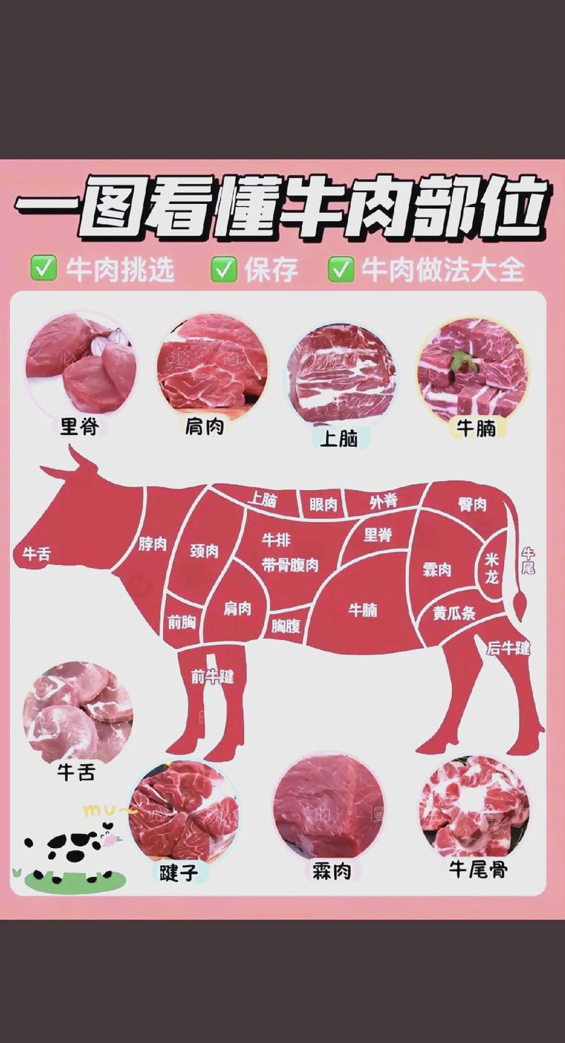 炖煮牛肉适合选用的牛腩牛腱部位示意图