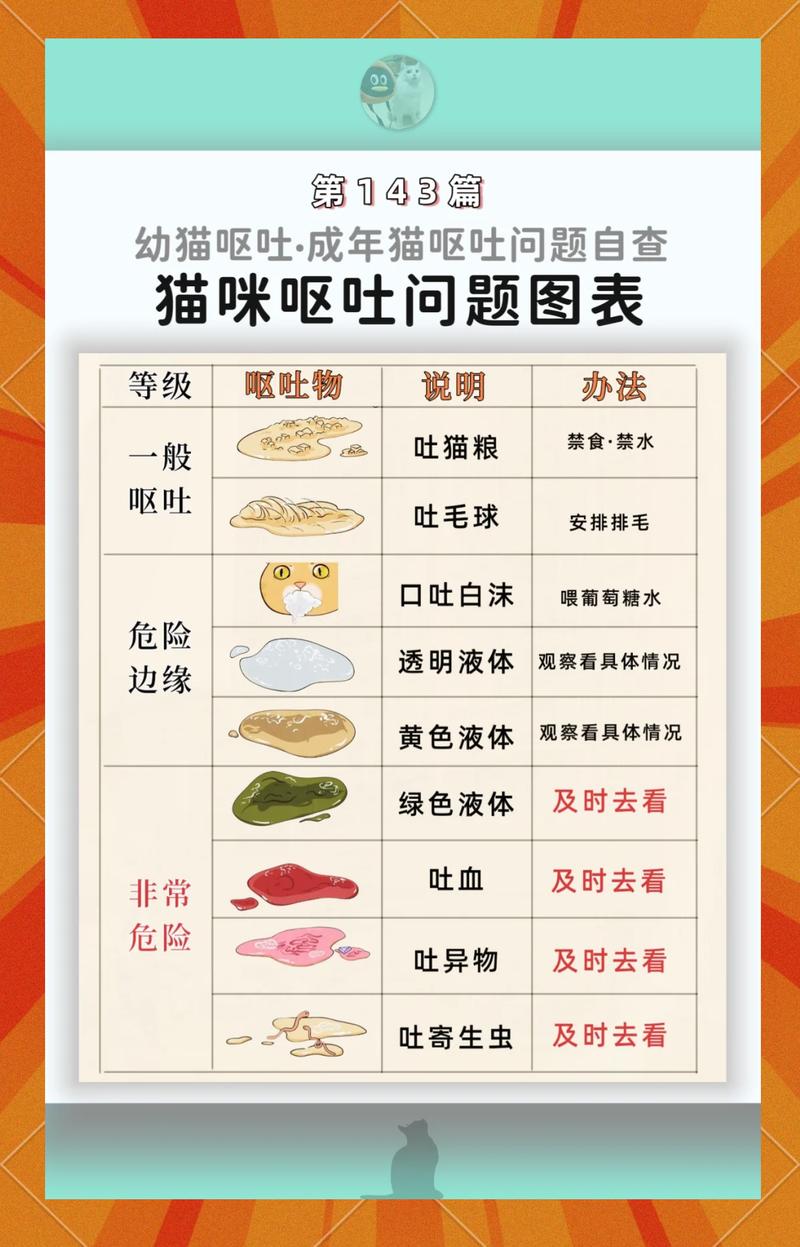 日常做好这几件事，帮猫咪少吐