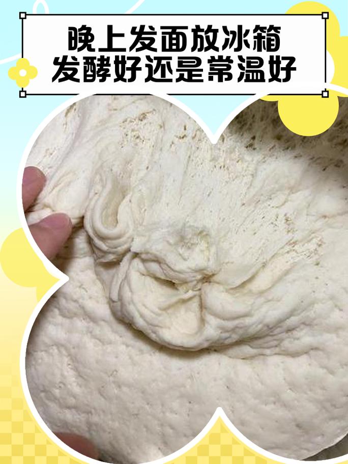 面包面团冷藏发酵前后体积对比图