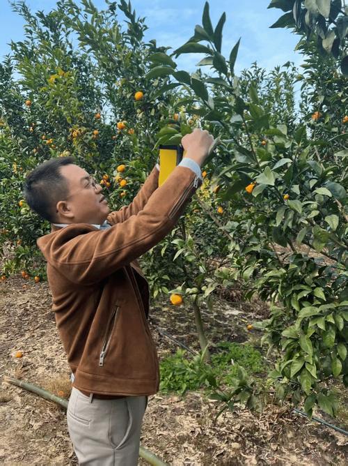 普惠技术推广：别把好技术锁在象牙塔里