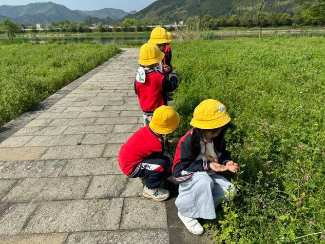儿童在工业改造自然教育营地观察野生小花