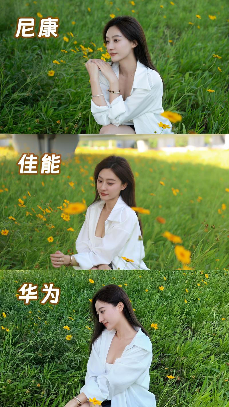 Vlog新手用手机拍摄对比专业相机画质场景