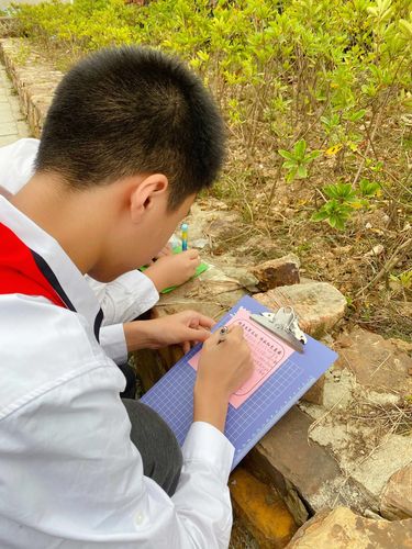 小学生完成户外测量实践作业场景