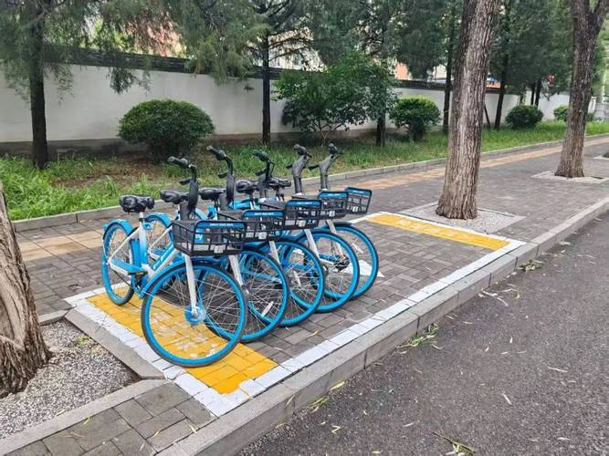城市户外无障碍共享单车停靠区实景照片