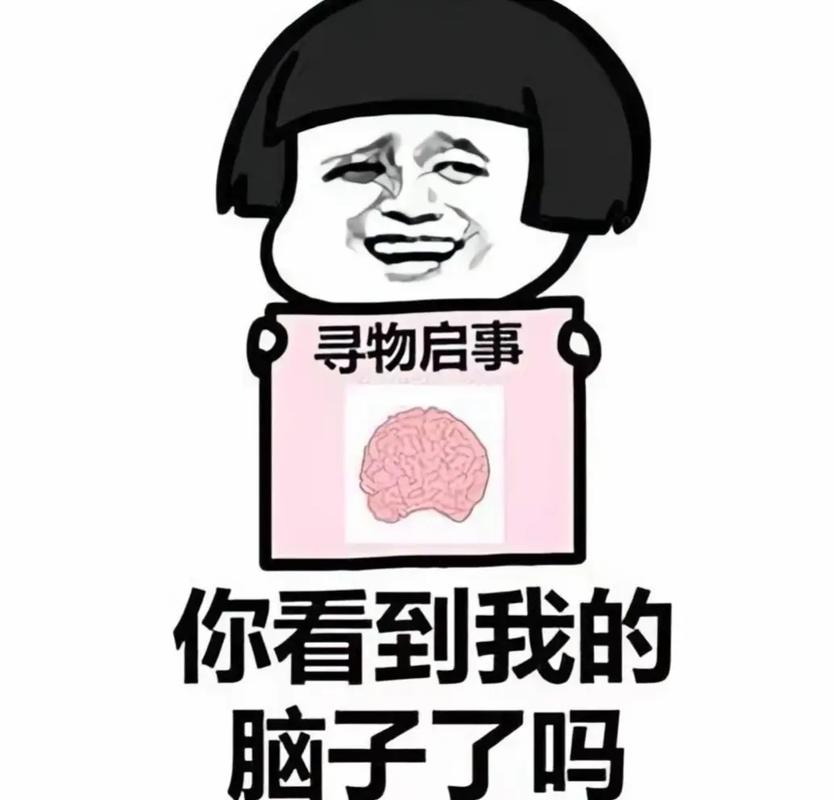 打包的艺术:用脑子塞东西,比买更管用