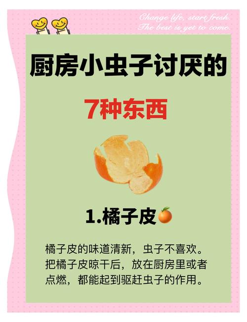 厨房橱柜角落放置干橘皮驱虫场景