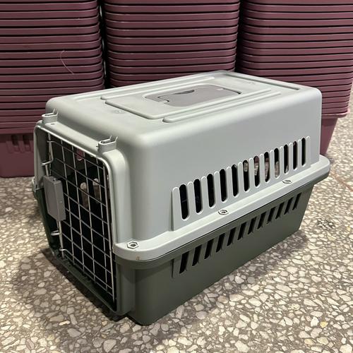 橘猫主动钻进敞开的宠物航空箱啃冻干