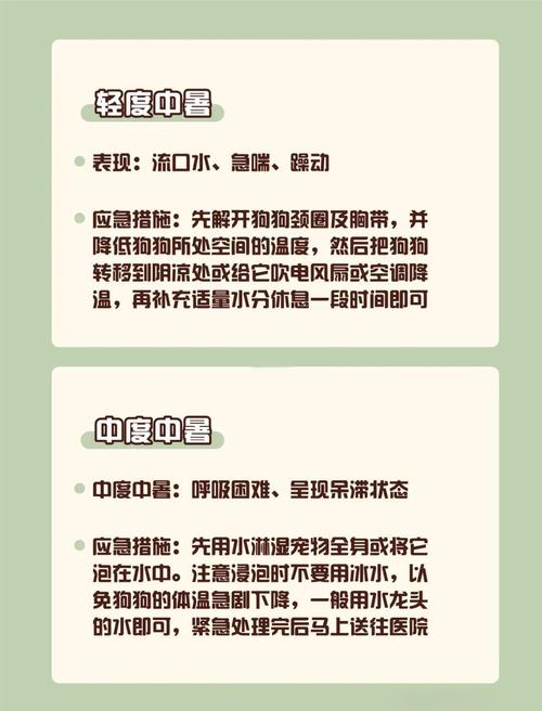 宠物中暑正确急救步骤示意图
