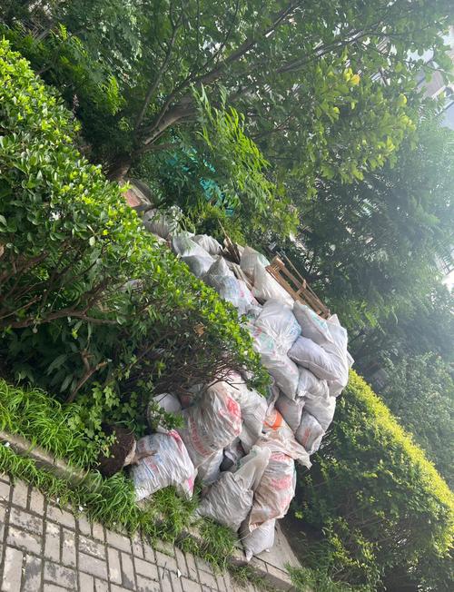 小区装修垃圾指定堆放点实景