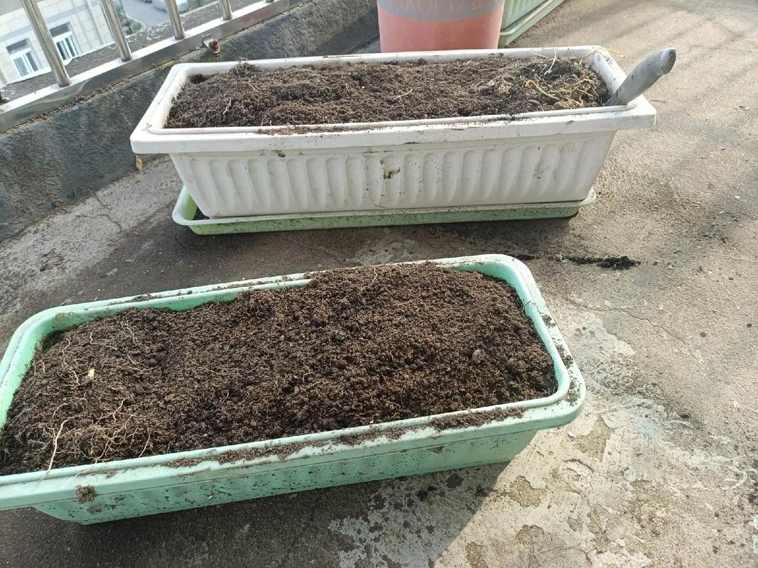 绿植盆栽装修大实话：工程师的10个灵魂拷问