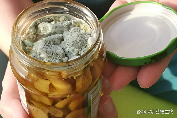 受潮长霉的厨房散装香料