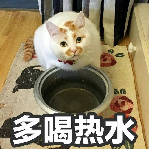 服务，不是多喝热水