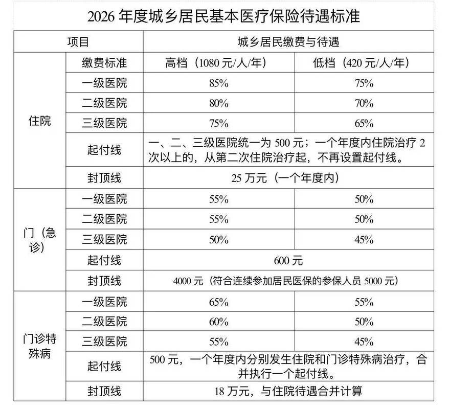 城乡居民医保年度封顶线示例表