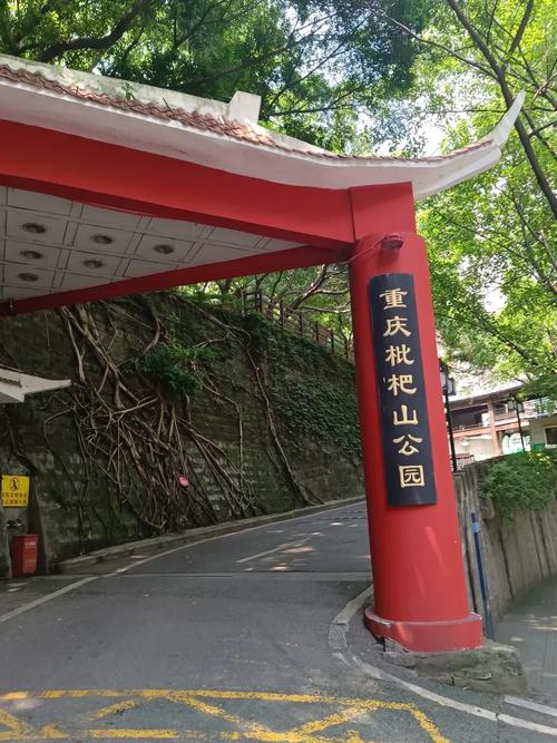 中午:枇杷山公园天台——被遗忘的制高点
