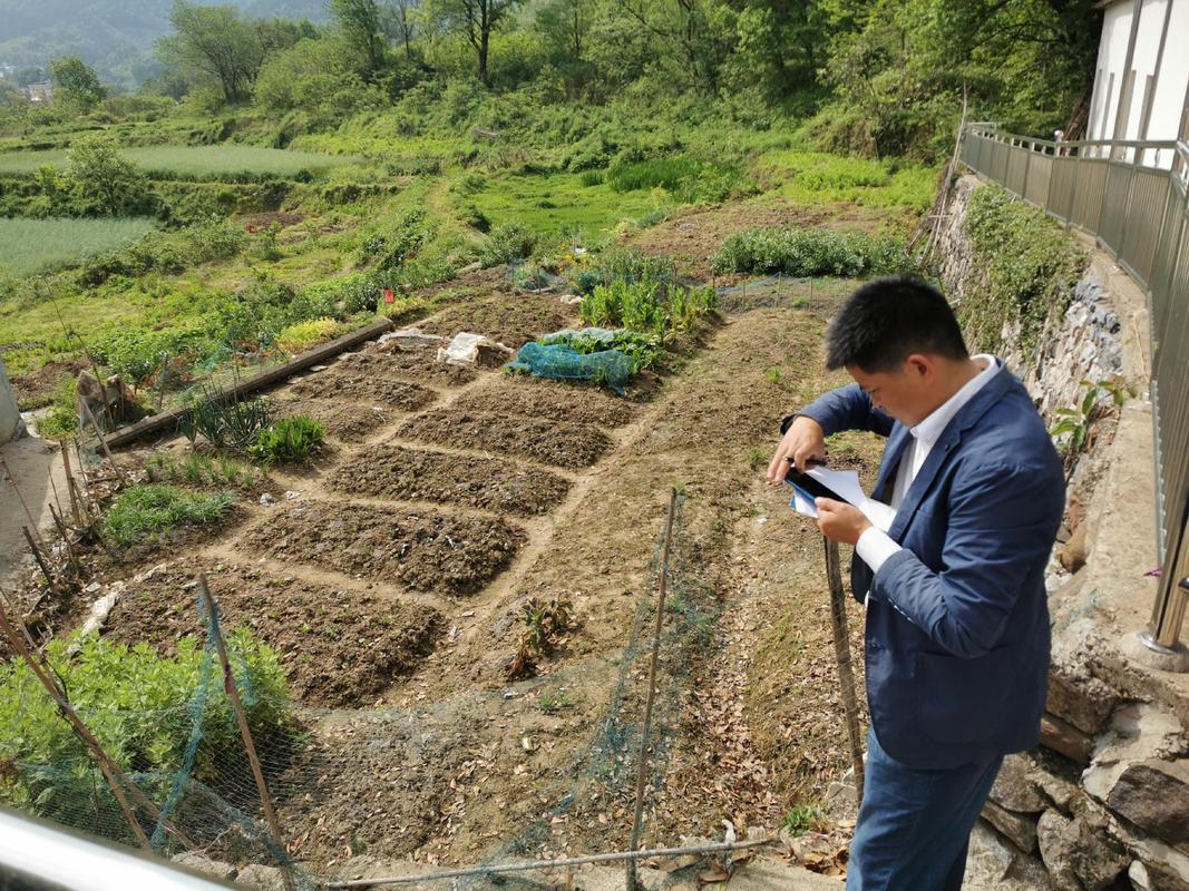 农村耕地流转用途核查现场照片