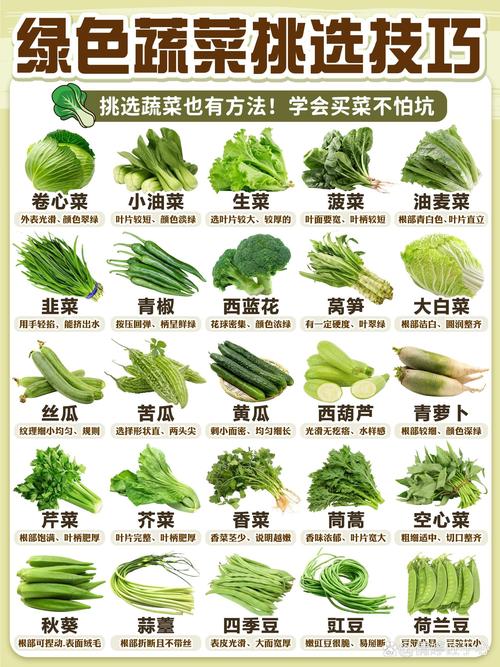 新鲜与不新鲜绿叶菜挑选对比图