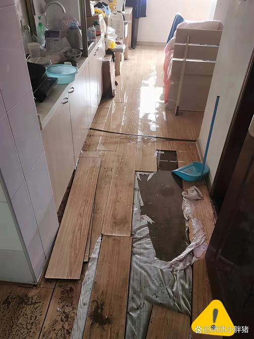 房屋漏水邻里侵权现场照片