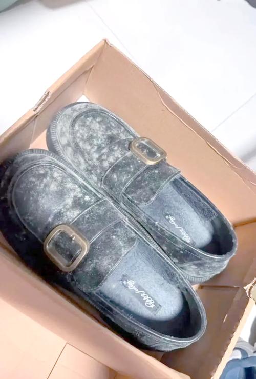 封闭鞋柜内里发霉的闲置鞋子实拍