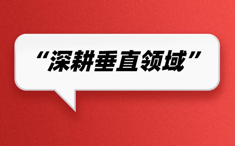 垂直深耕的专业服务基础