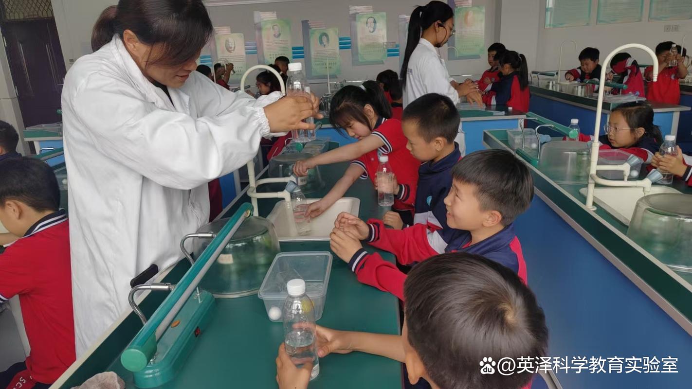 中小学物理浮力探究实验课堂
