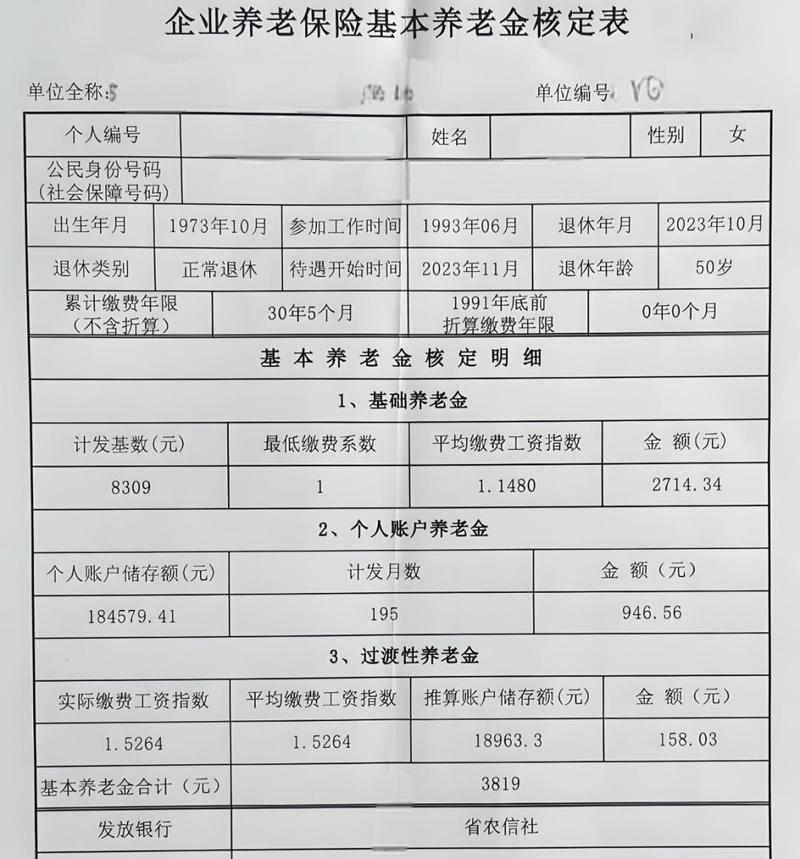 职工养老保险个人账户缴费记录示例图