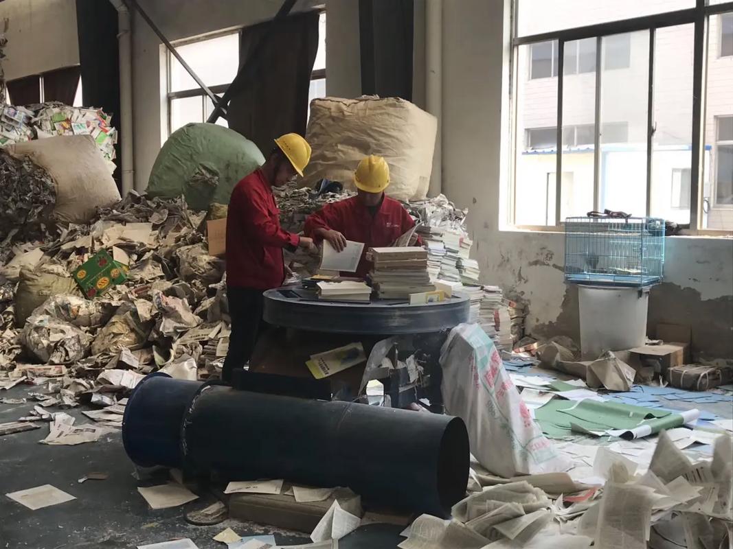 造纸，真的只是把树变成纸吗？——一个车间老炮的碎碎念